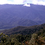 Rainforest covered mountains, Heales Lookout, above Gordonvale, QLD