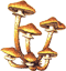 Armillaria luteobubalina by Celia Rosser