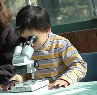 Looking at seeds through a microscope