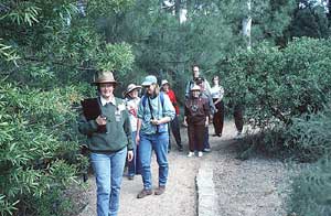 Free guided walks 