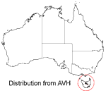 Cryptandra alpina distribution