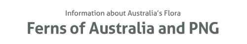 Information about Australia's flora - Ferns of Australia and PNG