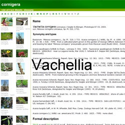 Vachellia Factsheets