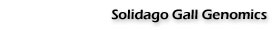 Solidago Gall Genomics