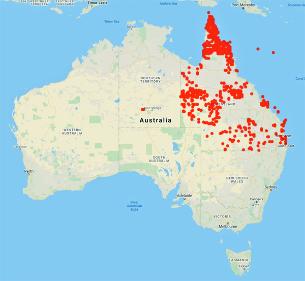 collecting locality map for 'Neldner, V.J.'