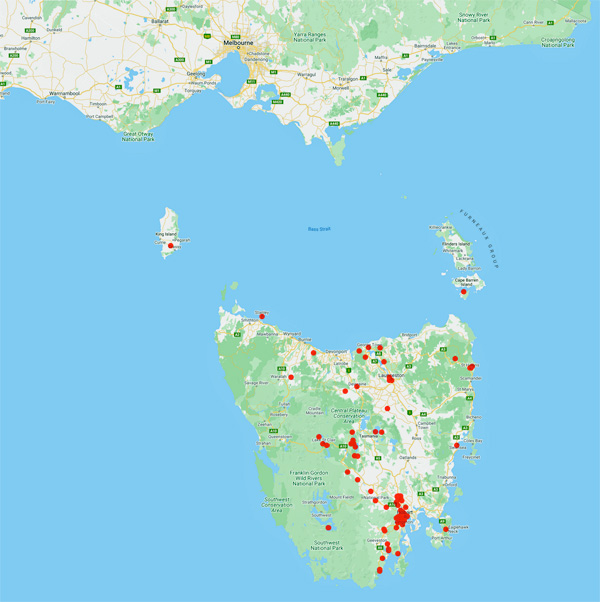 collecting locality map for 'Spicer, W.W.'