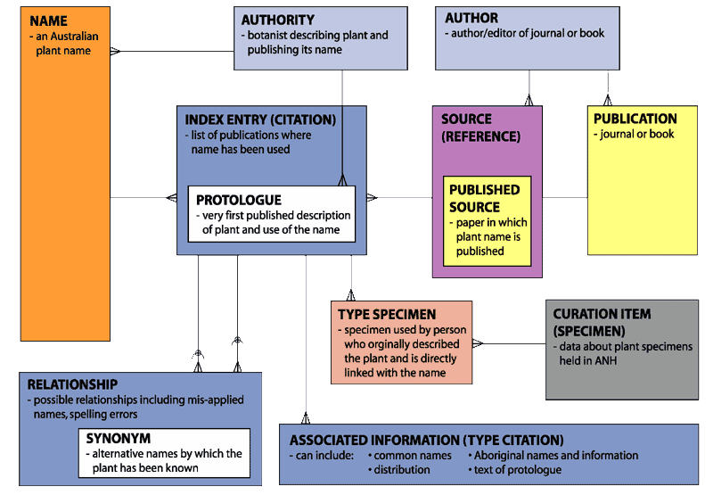 APNI org chart