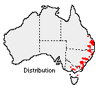 Distribution map for Billardiera scandens