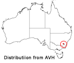 Grevillea iaspicula distribution