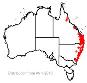 Dockrillia linguiformis distribution map