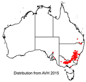 Cheiranthera linearis distribution