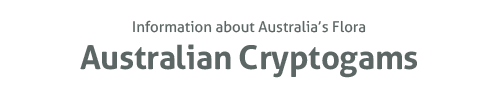 Australian Cryptogams