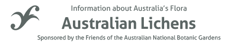 Australian Lichens - information about Australia's flora