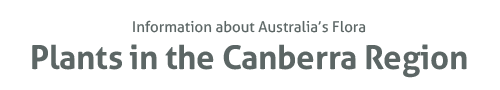 Plants in the Canberra Region header