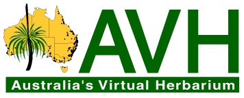 AVH  logo