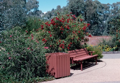 APII jpeg image of Callistemon 'Reeves Pink',<br/>Callistemon 'Harkness'  © contact APII