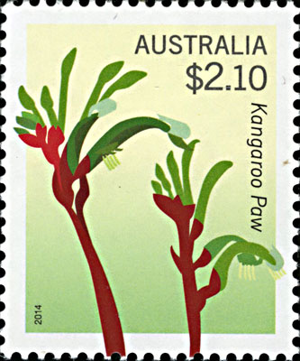 stamp - Anigozanthos manglesii