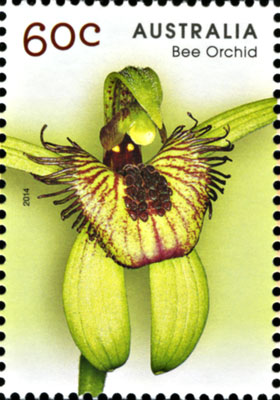 stamp - Caladenia discoidea