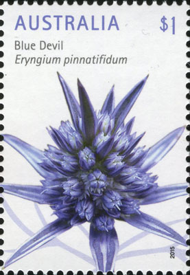 stamp:  Eryngium pinnatifidum
