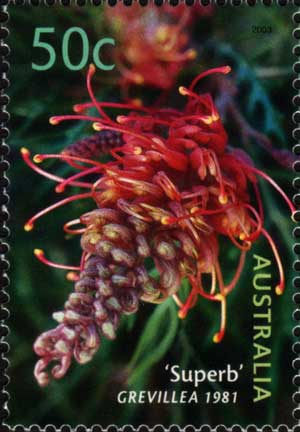 stamp: Grevillea 'Superb'