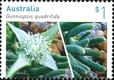 Stamp: Gunniopsis quadrifida 2017