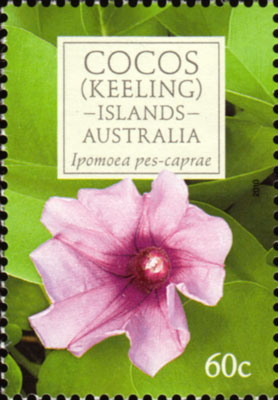 stamp: Ipomoea pes-caprae 2010