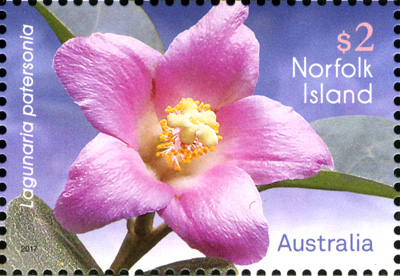 Stamp: Lagunaria patersonia