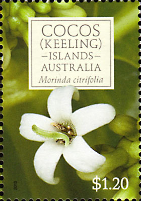 stamp Morinda citrifolia 2010