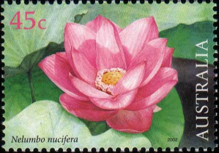 stamp: Nelumbo nucifera