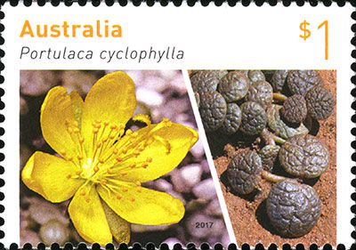 Stamp: Portulaca cyclophylla 2017