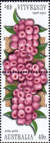 stamp: Acmena smithii