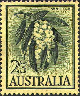 Acacia pycnantha stamp