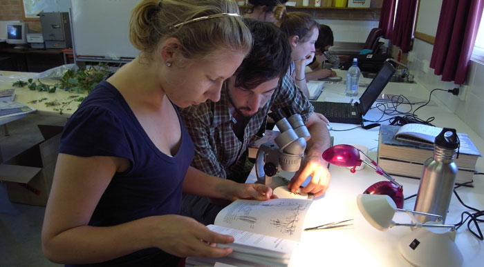 Participants identifying plants, JB